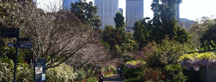 Royal Botanic Garden is one of To do in Sydney.