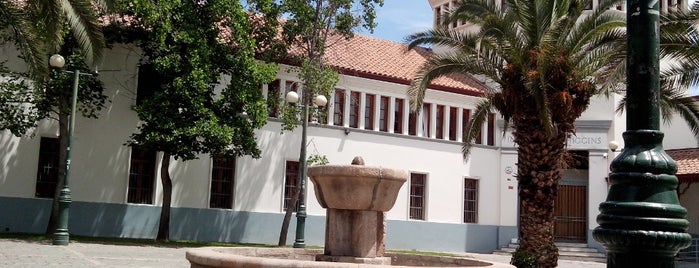 Instituto O'Higgins is one of Locais curtidos por Mario.