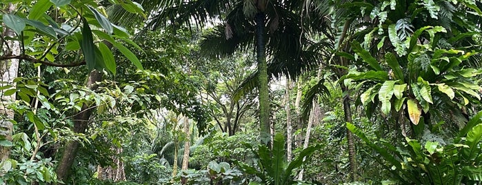 Ho‘omaluhia Botanical Garden is one of oahu.