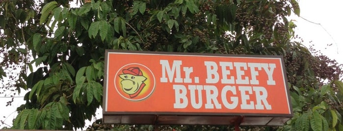 Mr. Beefy Burger is one of Caoskin Creations 3.