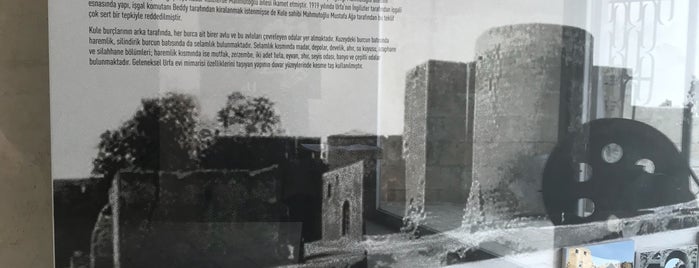 Kültür ve Sosyal İşler Daire Başkanlığı Turizm ve Tanıtma Şube Müdürlüğü (Mahmutoğlu Kulesi) is one of Lieux qui ont plu à Nalan.