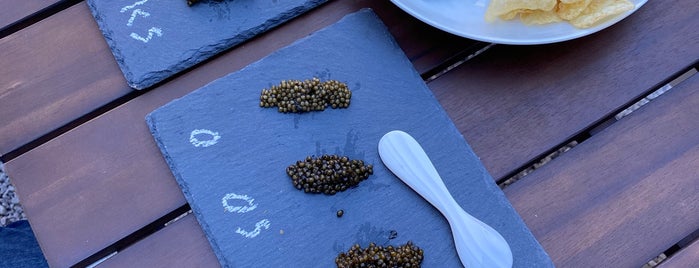 Pearl Street Caviar is one of Stevenson's Favorite NYC Speciality Groceries.