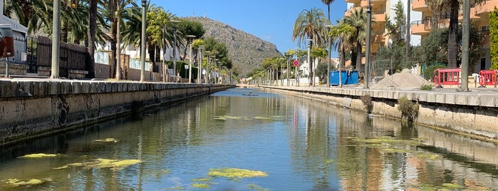 Port d'Alcúdia is one of Mallorca.