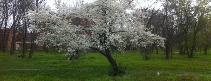 парк им. К. Чуковского is one of Ростов-на-Дону.