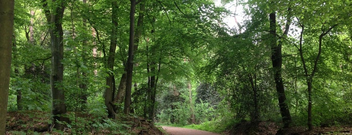 Bittermark Wald is one of Parks.