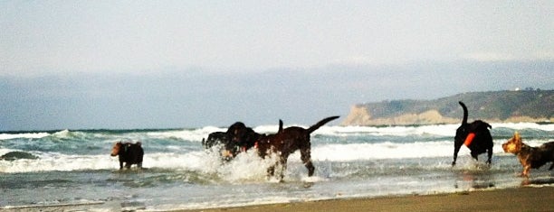 Coronado Dog Beach is one of Dog Runs and Dog Parks.