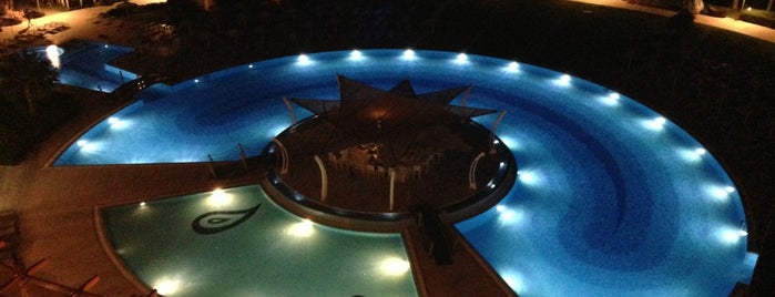 Swimming Pool is one of Posti che sono piaciuti a Çağrı🤴🏻🇹🇷.
