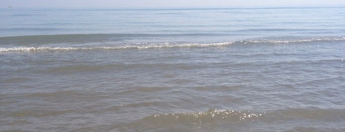Rimini Beach is one of ©️ 님이 좋아한 장소.
