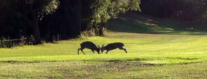 Lake Chabot Golf Course is one of Lieux qui ont plu à Mark.