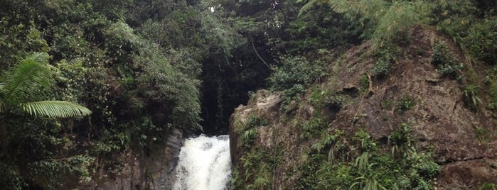 La Mina Trail And Waterfall is one of San Juan, Puerto Rico.