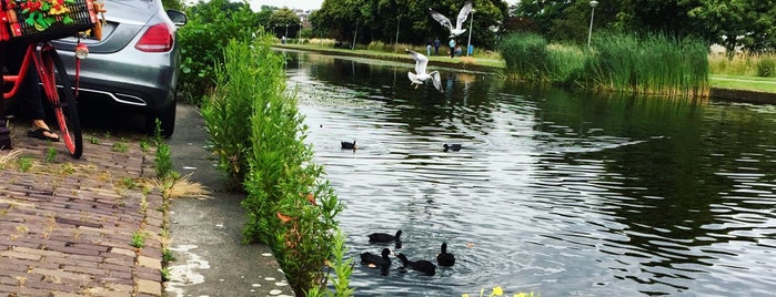 Ringdijk is one of Amsterdam.