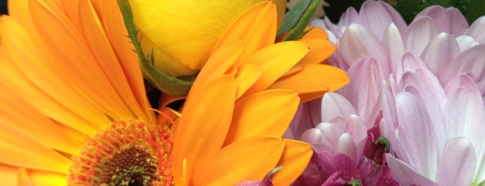 Maureen's Wholesale Flowers is one of Lugares favoritos de Christopher.