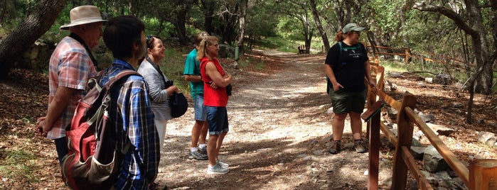 Ramsey Canyon Preserve is one of 82 Best Birdwatching Spots in the US.