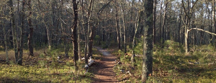 D. Isabel Smith Monomoy River Conservation Lands is one of Chatham.