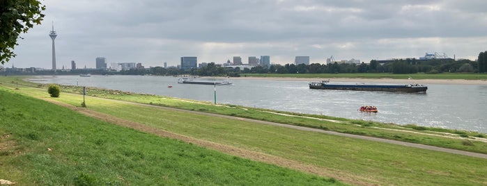 Rheinwiesen is one of Düsseldorf to go.