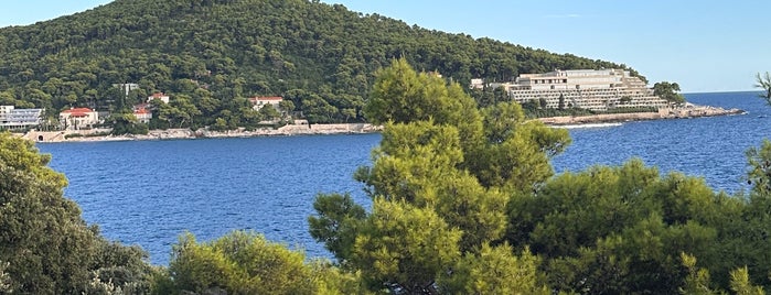 Hotel Neptun is one of Dubrovnik - Croatia.