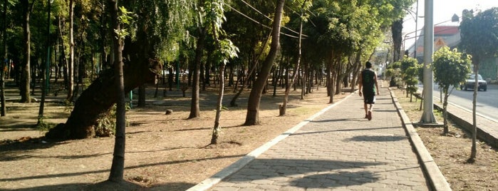 Jardin Chiapas is one of สถานที่ที่ Antonio ถูกใจ.