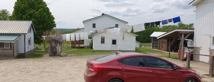 Schrock's General Store is one of Amish Paradise.