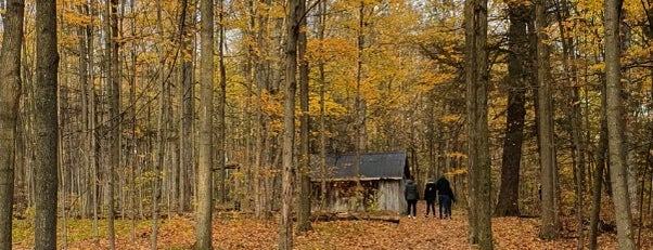 Sheppard's Bush Conservation Area is one of Parks & Trails.