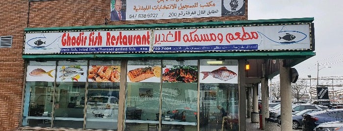 Ghadir Fish Restaurant is one of TORONTO IN FOCUS.