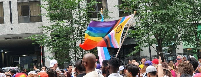 Toronto Pride Parade is one of toronto 2013.