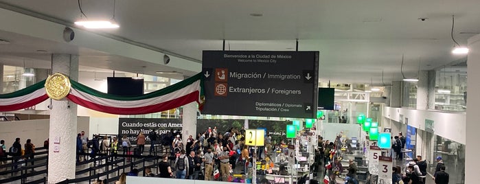 Migración is one of Enriqueさんのお気に入りスポット.