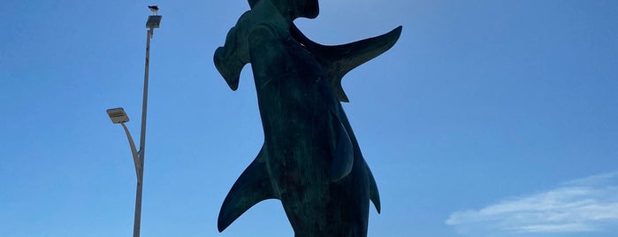 Escultura Tiburones Martillo is one of La Paz.