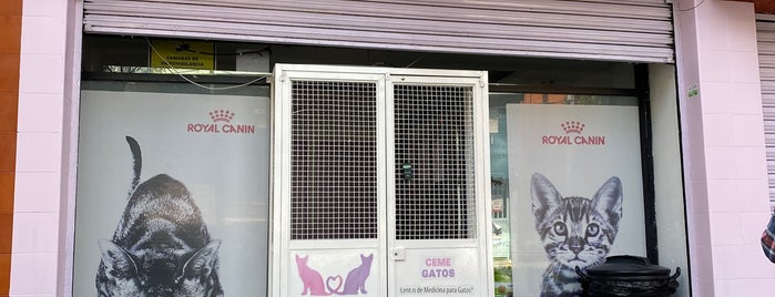 CEMEGATOS - Centro de Medicina para Gatos is one of Afuer.