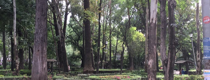 Parque México is one of Lugares favoritos de Arturo.