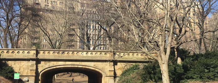 Dalehead Arch is one of Central Park🗽.