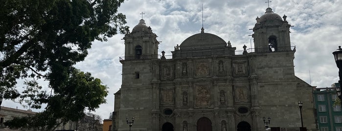 Alameda de León is one of Oaxaca To-Do's 2019.