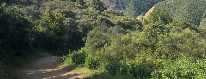 Limekiln Trail is one of Monterey.