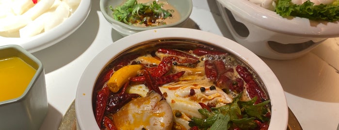 Da Yu Hot Pot 大渝火锅 is one of Want to try.