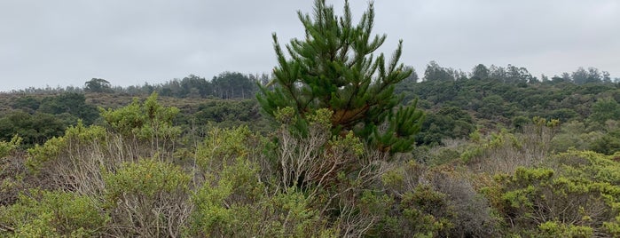 Manzanita County Park is one of Places to go.