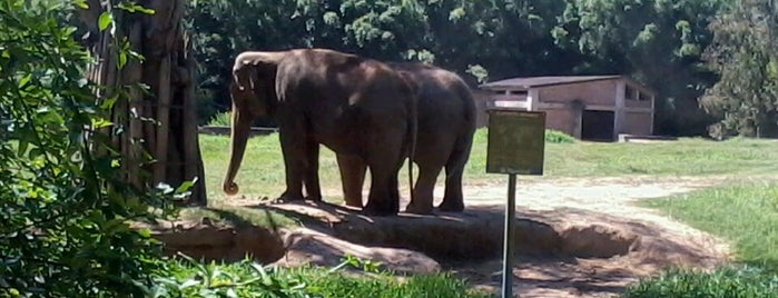 Parque Zoológico is one of POA.