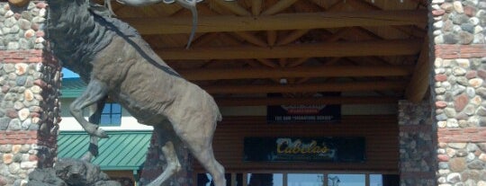 Cabela's is one of Taylor’s Liked Places.