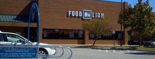 Food Lion Grocery Store is one of places I love.