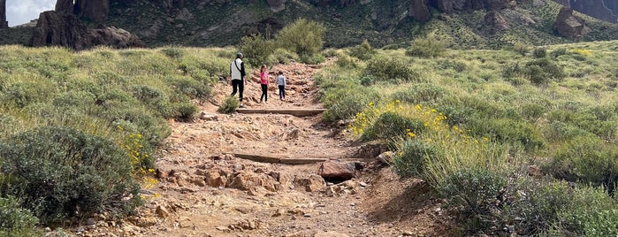 Lost Dutchman State Park is one of Phoenix.