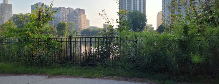 North Pond is one of chi-city.