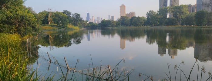 North Pond Nature Sanctuary is one of Chicago Bucketlist.