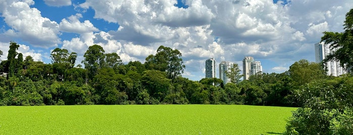 Parque Ecológico Do Tietê is one of Parques de São Paulo.