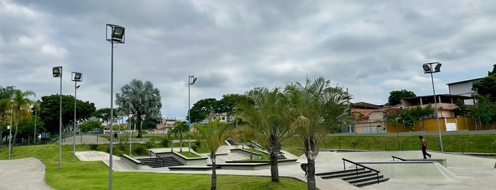 Skate Park is one of Pistas de skate do Rio.