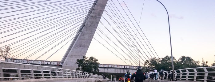 Ponte Estaiada da Barra is one of Tempat yang Disukai Cida F..
