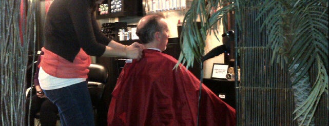 The Mane on Lincoln Hair Salon is one of Tempat yang Disukai T.