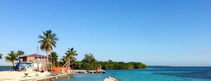 Caye Caulker is one of Carlさんのお気に入りスポット.