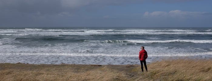 Gearhart Beach is one of Seattle/portland18.