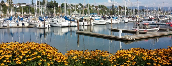 Squalicum Harbor Marina is one of Maraschino’s Liked Places.