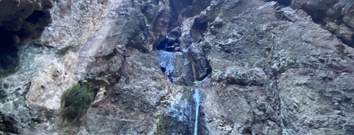 Barranco del Infierno is one of Tenerifes, Spain.