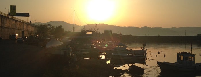 Kumbaşı Limanı is one of Ordu & Giresun.