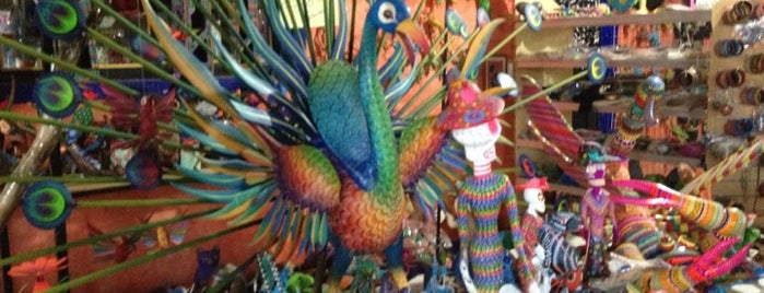 Alebrijes Autóctonos is one of Oaxaca.